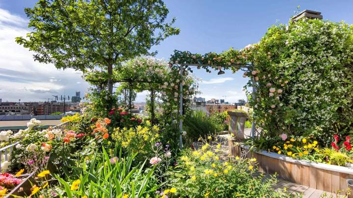 Entretien de jardin Muret