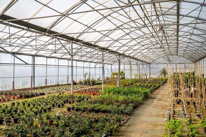 Service d’entretien de jardin Muret