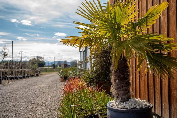 Service d’entretien de jardin Muret