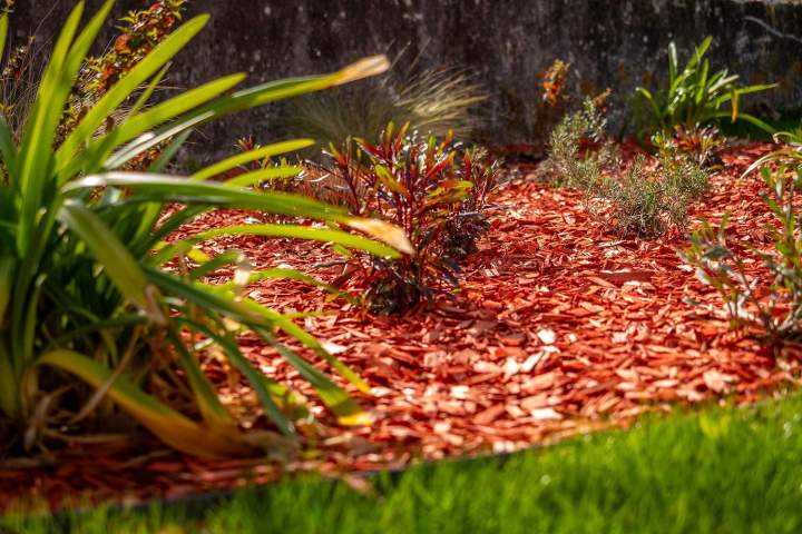 Entretien de jardin Muret