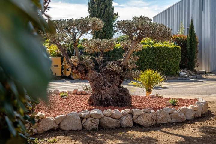 Entretien de jardin Muret