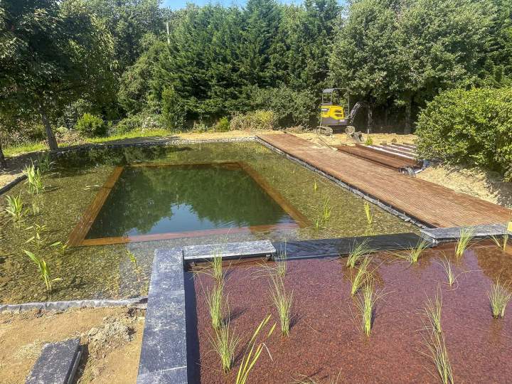 Création de piscine naturelle Muret
